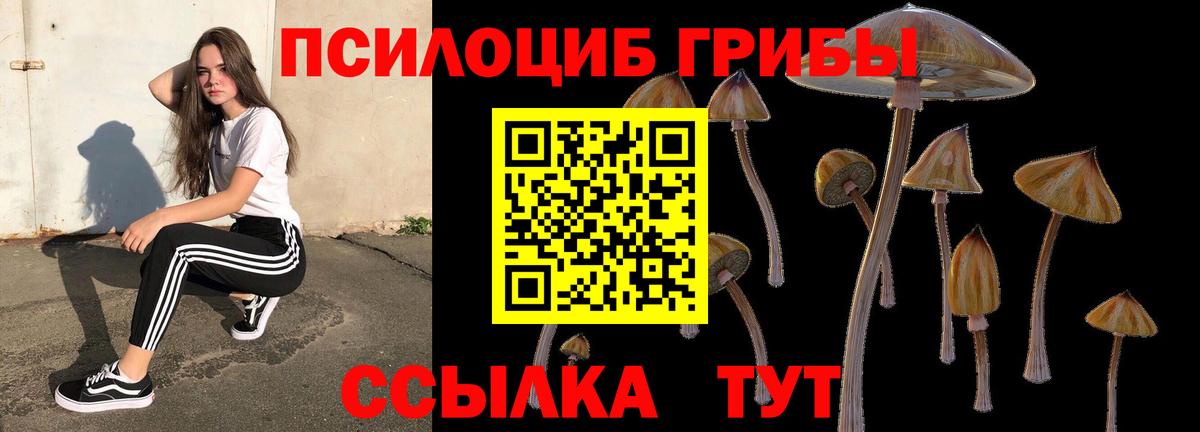 Галлюциногенные грибы мухоморы Вольск